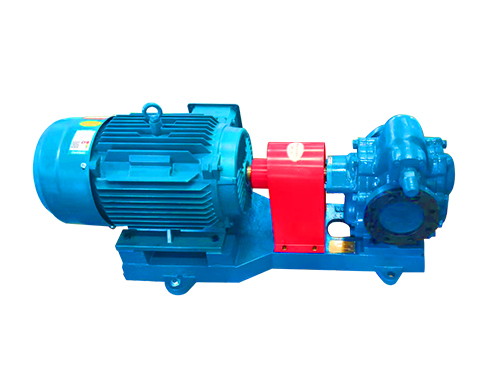 <b>齒輪泵在啟動前要檢查哪些地方？</b>